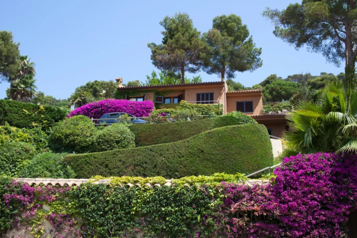 Javea Gardening