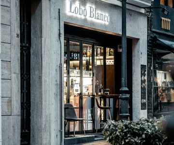 EL LOBO BLANCO
